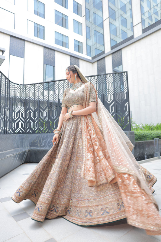 Parampara Aashni and Co