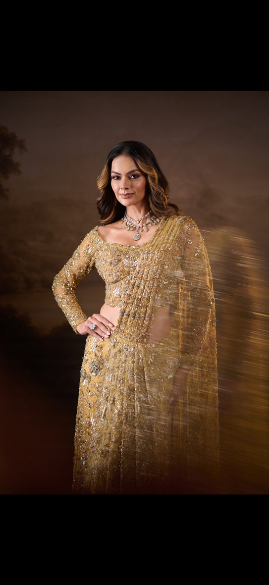 Goddess drape saree