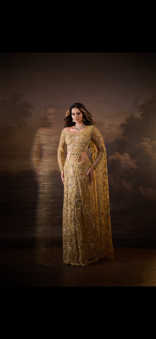 Goddess drape saree