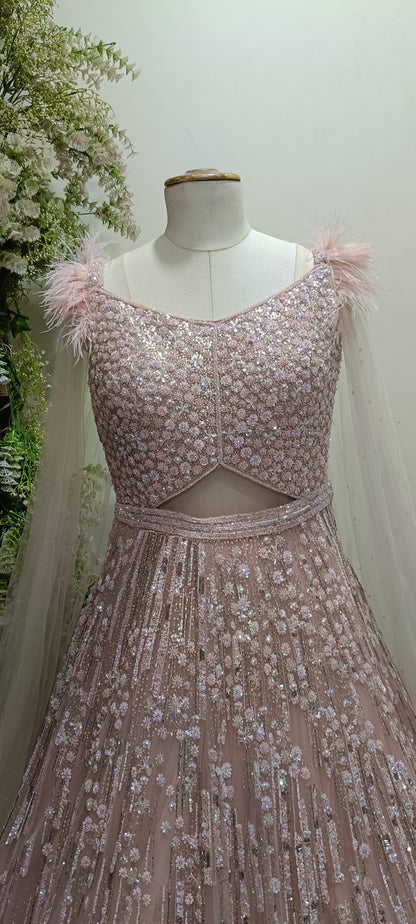 Peach Daisy